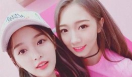 清北女生爆料视频播放大全,揭秘校园生活与青春故事