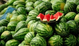 网红吃瓜小店有什么好处,社交新宠，生活新风尚